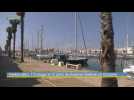 Pavillon Bleu : 110 plages et 22 ports de plaisance labellisés en Occitanie