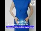 5 infos sur la congélation d'ovocytes en France