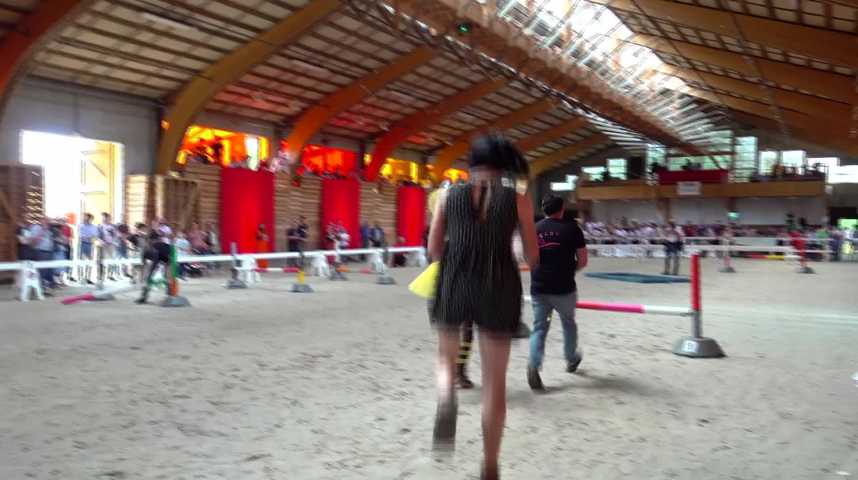 Thumbnail Bienvenue au championnat de Bretagne de cheval à 2 pattes