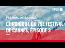 VIDÉO. Festival de Cannes : la compétition officielle à la veille de la Palme d'or