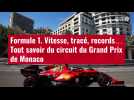 VIDÉO. Formule 1 : tout savoir du circuit du Grand Prix de Monaco
