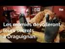 Double exposition sur les momies à Draguignan