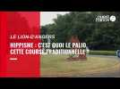 VIDEO. Au Lion-d'Angers, qui a gagné le Palio 2022 ?