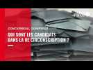 VIDÉO. Qui sont les candidats dans la circonscription de Concarneau-Quimperlé?