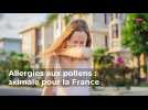 Allergies aux pollens : alerte maximale pour la France