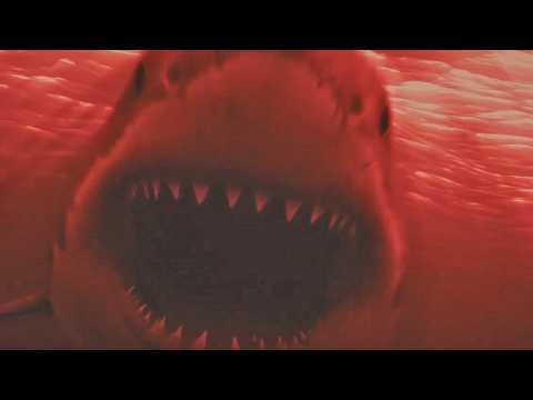 Blood in the Water - Teaser 1 - VO - (2022)