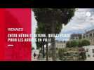 Vidéo. A Rennes, entre bitume et béton, quelle place pour les arbres dans la ville?