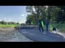 Transhumance, Millas-Ayguatebia