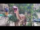 Vernon. Les dinosaures font le spectacle
