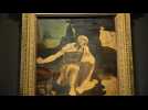 Le Saint Jérôme inachevé de Léonard de Vinci exposé dans sa dernière demeure en France
