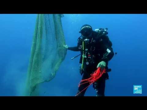 World Oceans Day 2022: Italy's fight against illegal fishing