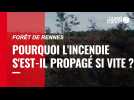 VIDEO. Les causes de l'incendie de la forêt de Rennes expliquées par un agent de l'ONF.