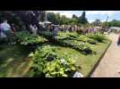 Rouen, Graines de jardin.