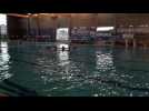 Coupe de Belgique water-polo: le chikiliki de l'ENL avant Malines