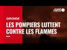 VIDÉO. Incendies : plus de 10 000 personnes évacuées en Gironde, la thèse criminelle privilégiée pour l'un des départs de feu