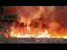 Les incendies continuent de ravager le sud-ouest de l'Europe