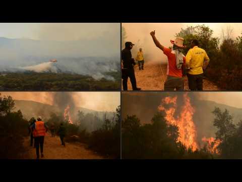 Firefighters douse raging forest fire in Morocco's Larache region