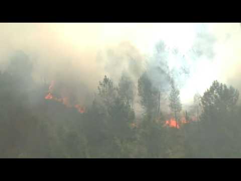 'Apocalyptic' Gironde fires rage, burning 1,000 hectares in Landiras