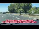 Montpellier : en short et sans casque, il emprunte l'autoroute A709 en trottinette