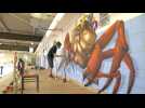 Doullens : Le street art s'empare de la piscine municipale