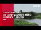 Vidéo. Une journée au coeur des marais du Cotentin et du Bessin