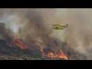 Des forêts délaissées accentuent l'intensité des incendies en Espagne et au Portugal