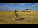 Récolter en temps de guerre : la détresse des agriculteurs ukrainiens