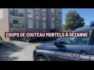 Coups de couteau mortels à Sézanne