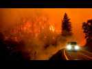 Incendie McKinney : le plus vaste feu de forêt depuis le début de l'année frappe la Californie