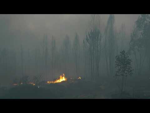 Portugal: Forest fire blazes north of Lisbon