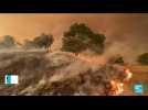 Incendie en Californie : le feu 