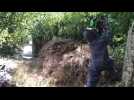 Tir sur frelon 2; Tir frelon 3; Arbre à frelon; Tir sur frelon