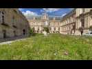 Amiens : la nature s'invite à l'Hôtel de ville