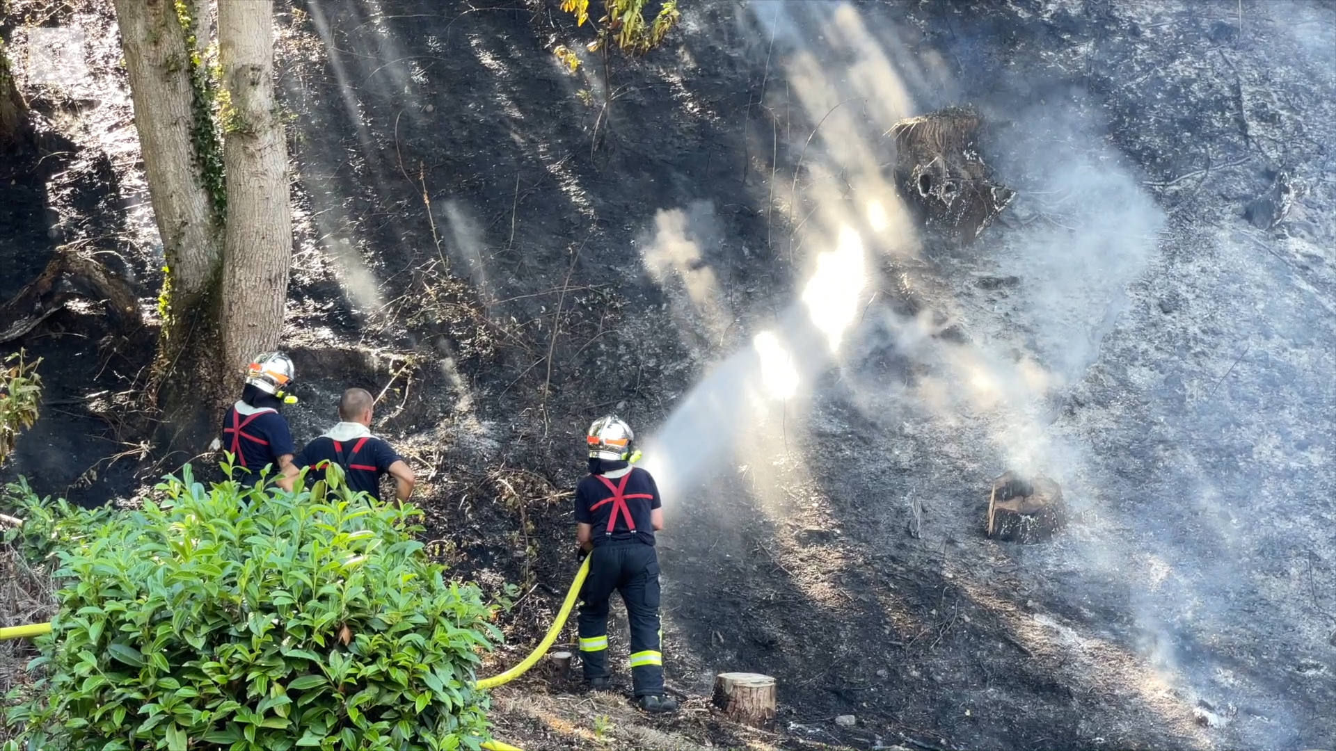 500 m² de végétation brûlés dans un incendie à Morlaix, rue Pors-an-Trez (Le Mensuel de Rennes )