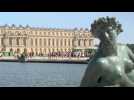 Le château de Versailles retrouve une fréquentation d'avant pandémie