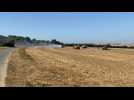 Saint-Inglevert : un tracteur prend feu dans un champ