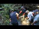 Hautes-Pyrénées : piégés dans le Merdan à sec, des milliers de poissons sauvés