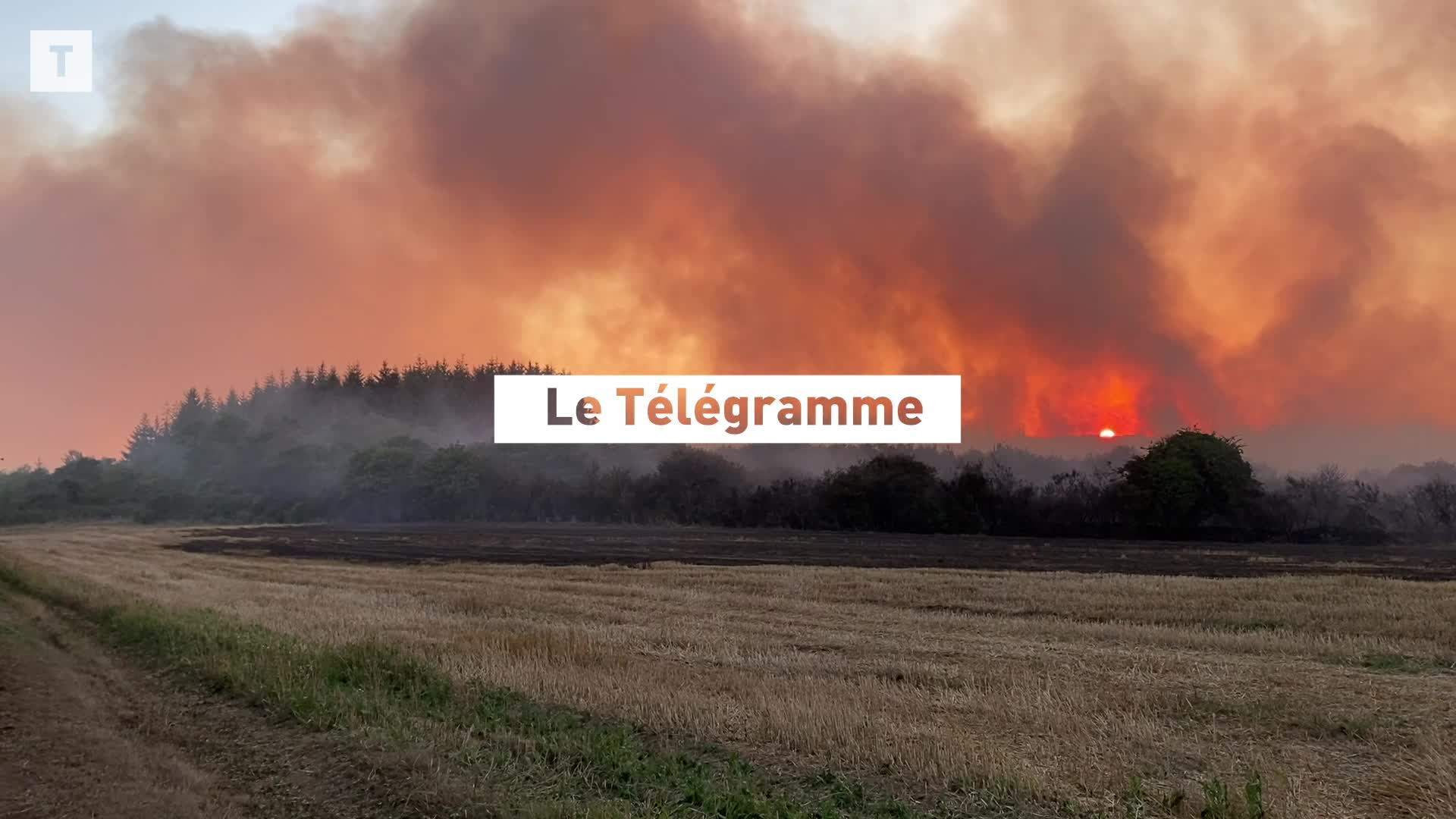 Dans les monts d’Arrée, un incendie se propage à une sapinière à Berrien (Le Télégramme)