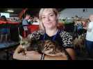 Salon du Chat à Hannut: Morgan Bada de Waremme et son chat