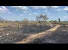Dix-huit hectares de végétation partent en fumée sur un terril de Montigny-en-Gohelle