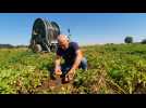 Gabriel Delory irrigant agricole à Hesdigneul lez Béthune