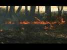 Incendie à Brocéliande: les pompiers à pied d'oeuvre dans la forêt de Paimpont