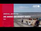 VIDEO. Une journée aux grandes marées de Bréhal