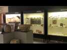 Les petits trésors du musée archéologique de Viuz-Faverges