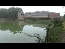 Anvaing Chateau etang et poissons morts