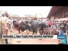 Burundi : l'abattage des vaches reprend après 3 mois d'interdiction à cause de la fièvre de la vallée du Rift
