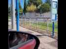 Arrosage de rails du tramway à Montpellier en période de canicule