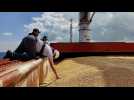 Exportation de céréales : trois nouveaux navires ont quitté les ports ukrainiens
