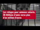 VIDÉO. Les refuges pour animaux saturés, 30 Millions d'amis verse plus d'un million d'euro