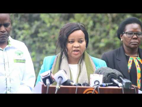 Kenya: IEBC vice chair 'categorically' upholds opposition to vote outcome